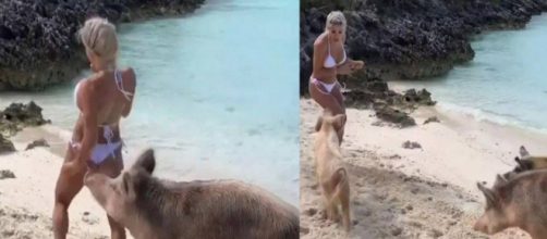 Michelle mordida no bumbum por porco (Foto: Reprodu&ccedil;&atilde;o/Instagram)