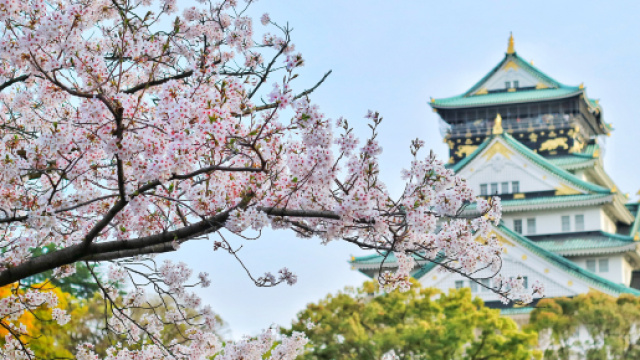 Milano, il sogno di Federico che vuole girare il Giappone in bicicletta