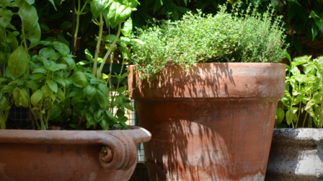 Taranto 80enne deceduto a causa di un vaso cadutogli in testa.