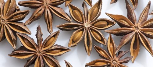 Star anise series [Image via: THOR - Flickr]
