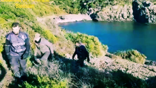 La piantagione di marijuana era nascosta in una grotta a due passi dal mare.