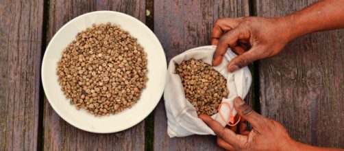 Coffee, do we know enough about the origins of our morning cuppa? - Picture courtesy of Wikiwand - wikiwand.com