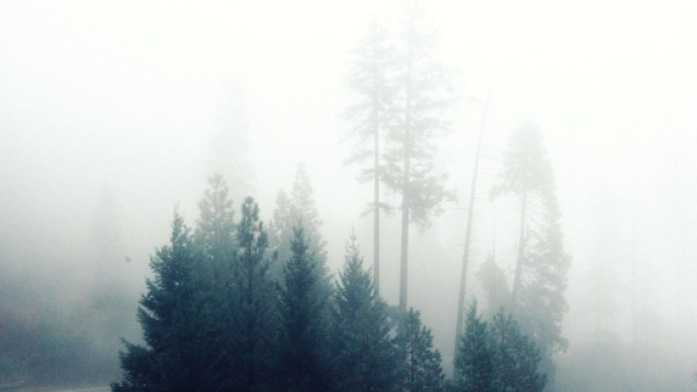 Bolivia, incidente tra un bus e un camion a causa della nebbia, decine di morti e feriti.