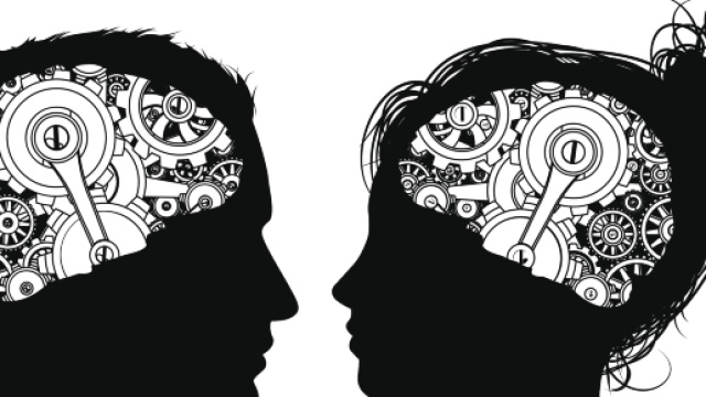 Il cervello umano &egrave; ancora fonte di mistero e scoperta!