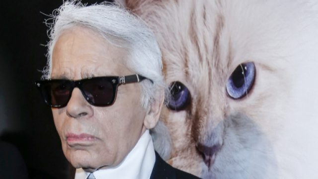 Karl Lagerfeld Says His Cat Choupette Made $3 Million Last Year | Time - time.com