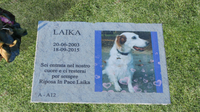Lombardia: cani e gatti potranno essere sepolti con i loro padroni