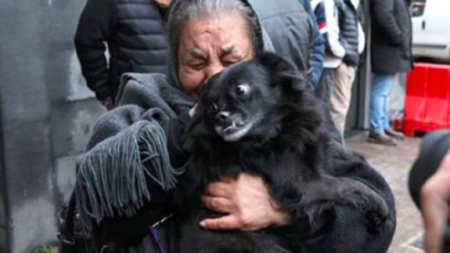&ldquo;Ha abbaiato e ci ha portato fuori&rdquo;, cos&igrave; il cane eroe di Afragola ha messo in salvo i padroni - Internapoli