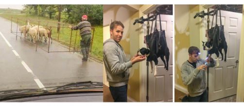 Eles criaram maneiras criativas de resolverem seus problemas (Fotos - Reprodu&ccedil;&atilde;o)