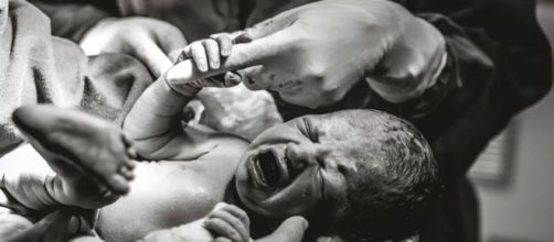 Rec&eacute;m-nascida continua segurando m&atilde;o de m&eacute;dica ap&oacute;s o nascimento. (Reprodu&ccedil;&atilde;o/Instagram/@brunacostafotografias)