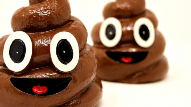 Odi qualcuno? Spediscigli un pacco di cacca a casa con Shitexpress - tpi.it