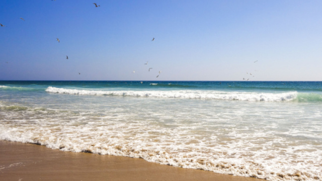 Cesena, rapporto intimo in spiaggia in pieno giorno: rischiano una denuncia