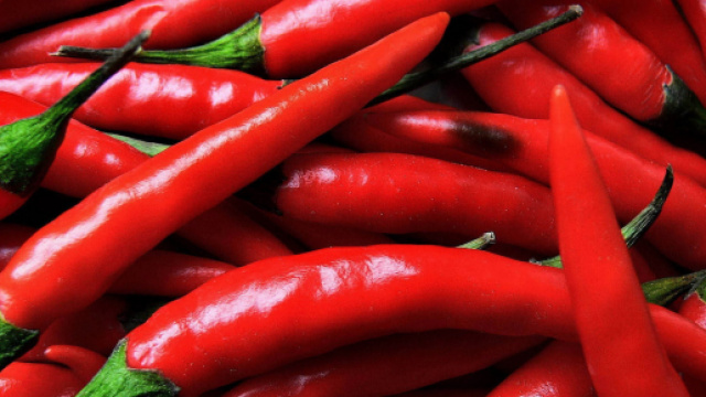 Usa, mette peperoncino sui genitali dei figli per punirli: una coppia in stato di arresto