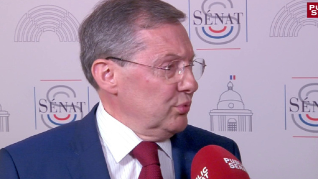 Affaire Benalla : &laquo; On progresse pas &agrave; pas &raquo;, r&eacute;agit Philippe Bas ... - dailymotion.com