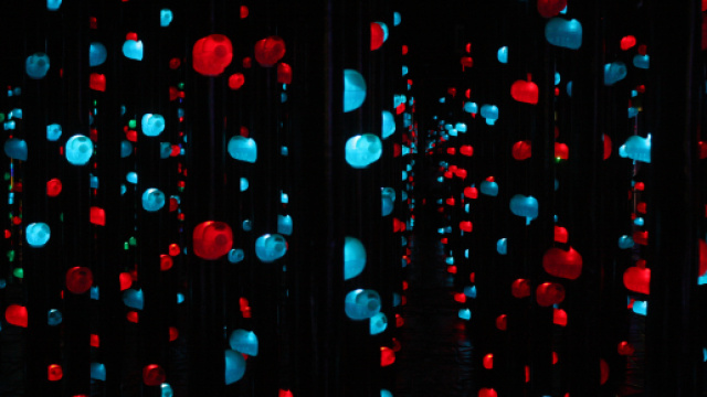 Oroscopo 1 marzo: Acquario indifferente, dubbi per Ariete