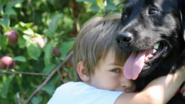Pourquoi adopter en refuge au lieu d'acheter - L'Association ... - aqss.ca