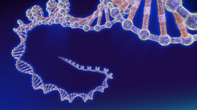 Scoperto un DNA quadruplo nelle cellule tumorali - fanpage.it