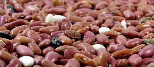 Dried beans [Source: dominik18s - Flickr]