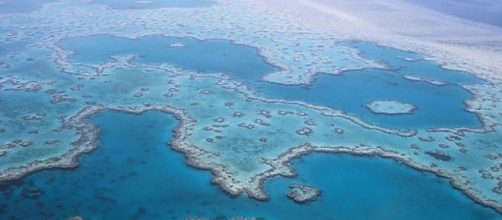 Great Barrier Reef under threat from dumping - Image credit - 1207271 | Pixabay