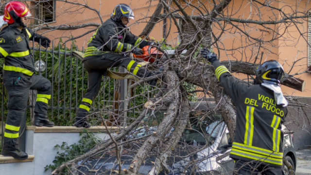 Alberi sradicati e tetti divelti, il vento provoca danni a Cosenza