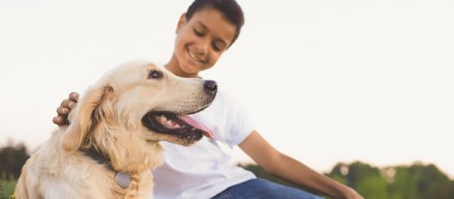 Jiobit for Pets helps to keep our four-footed friends safe. / Image via John Renaldi, used with permission.