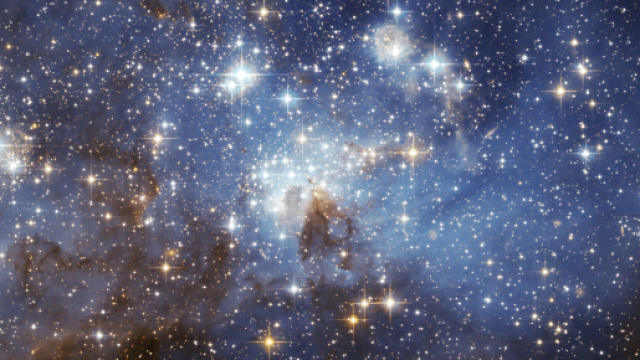 Oroscopo dall'11 al 17 marzo: amore alle stelle per Scorpione, Leone rilassato