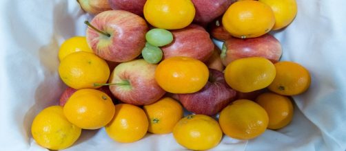 5 incredible foods that can boost your immune system. Image Credit: Marco Verch / flickr