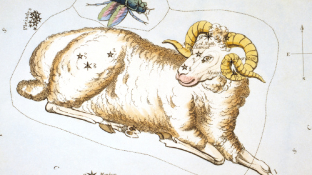 Oroscopo 13 marzo: Ariete ingenuo, Leone polemico