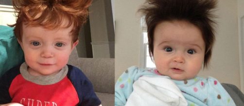 Elas est&atilde;o fazendo muito sucesso (Fotos - Reprodu&ccedil;&atilde;o)