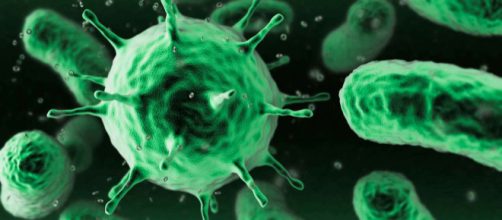 El v&iacute;nculo entre bacterias y neuronas