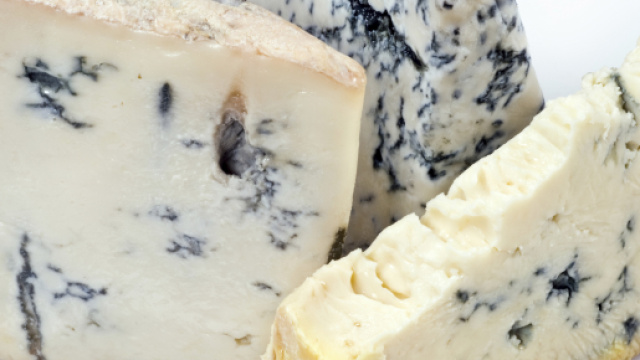 Gorgonzola DOP: rischio presenza di batterio Listeria in 5 marche diverse.