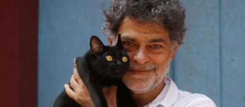 Le&oacute;n e outros felinos se tornaram uma atra&ccedil;&atilde;o a parte. Imagem: Divulga&ccedil;&atilde;o Rede Globo