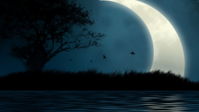 Oroscopo di domani 15 febbraio 2019 | Astrologia, classifica stelline e previsioni di venerd&igrave; con Luna in Cancro