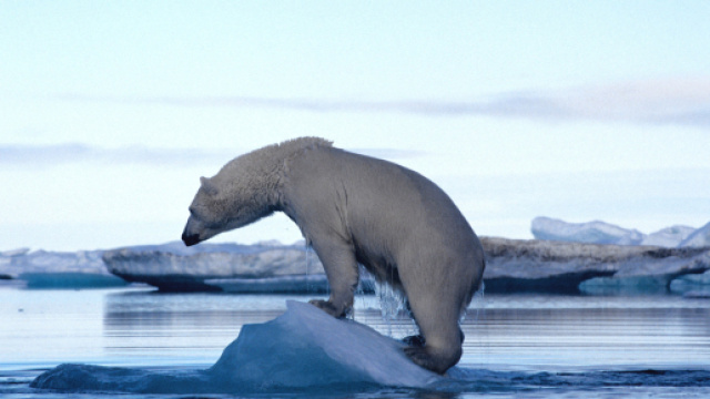 10 mosse e ti sistemo il cambiamento climatico - Green.it - green.it