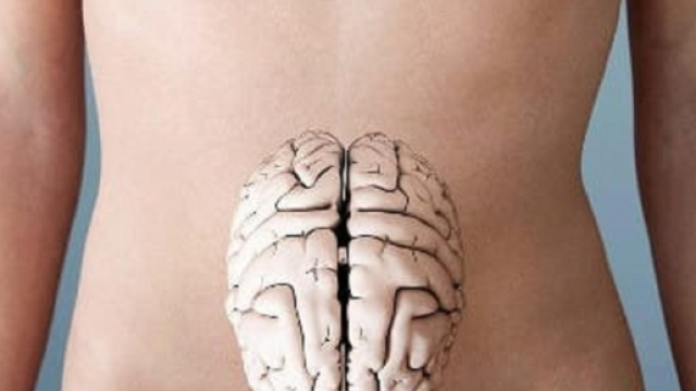 La flora batterica intestinale influenza lo stato mentale