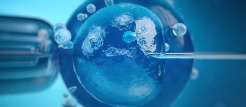 Fecundaci&oacute; in vitro ayuda a las parejas inf&eacute;rtiles a tener hijos. - cirh.es