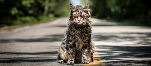 New trailer released for Stephen King's "Pet Sematary" - CBS News - cbsnews.com