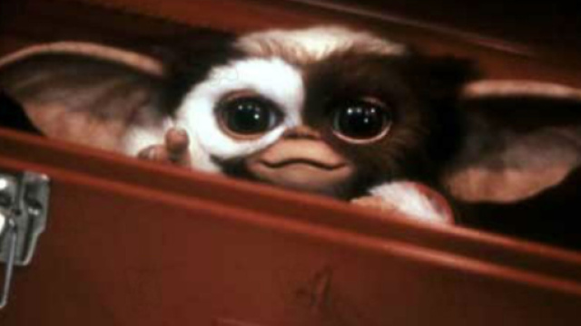Les Gremlins seront de retour dans une s&eacute;rie anim&eacute;e pour Warner ... - lesinrocks.com