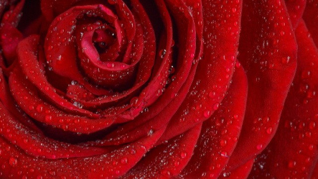 Oroscopo dell'amore di coppia 13 marzo.