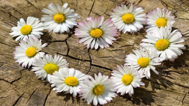 L'oroscopo del 14 marzo: novit&agrave; per Cancro, gioved&igrave; importante per Pesci e Gemelli