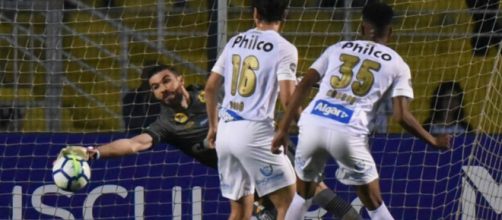 Santos recebe o Novorizontino no Pacaembu para manter lideran&ccedil;a geral (Divulga&ccedil;&atilde;o/Instagram/@ivanstorti)