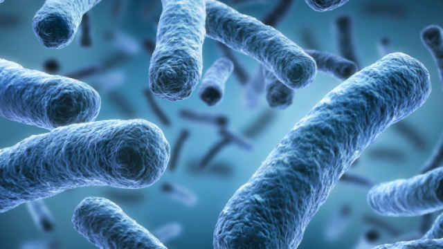 Antibiotico-resistenza: in Italia il maggior numero di vittime.