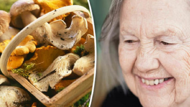 I funghi sono ricchi di ergotioneina, un amminoacido solforato dotato di propriet&agrave; antiossidanti, anti-invecchiamento e anti-demenza.