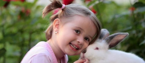 Animals are often the subject of cute and funny stories. Here are five. [Image Pexels]