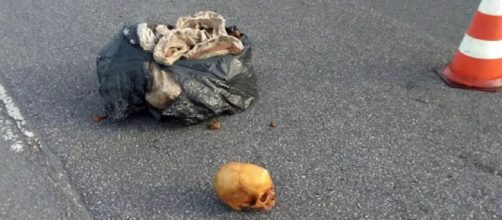 Ossos humanos ca&iacute;ram de um caminh&atilde;o ca&ccedil;amba na pista da rodovia (Divulga&ccedil;&atilde;o/Pol&iacute;cia Militar)
