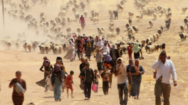 Migrazioni climatiche, quando il clima &egrave; colpevole dei grandi ... - green.it