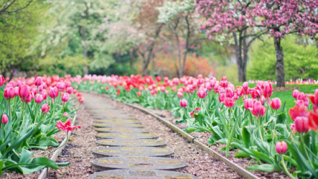 Oroscopo dal 18 al 22 marzo: previsioni astrologiche su amore e lavoro per i dodici segni zodiacali