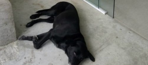 A publica&ccedil;&atilde;o alcan&ccedil;ou milhares de intera&ccedil;&otilde;es. (Arquivo Pessoal/Everton Teodoro)