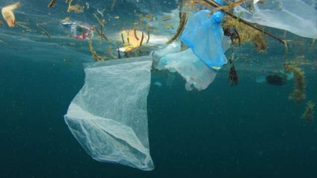 Il Mediterraneo in una trappola... di plastica - ilcambiamento.it