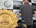 Homem é preso suspeito de abusar de três meninas de 7 anos em São Leopoldo (RS)