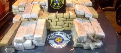 Somem 600 kg de maconha em delegacia (Divulga&ccedil;&atilde;o/PM-SP)